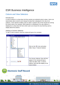 ESRBI - Column and View Selectors.pdf Thumbnail