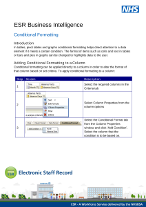 ESRBI - Conditional Formatting.pdf Thumbnail