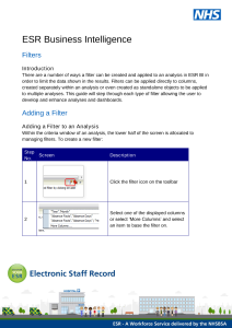 ESRBI - Filters v2.0.pdf Thumbnail