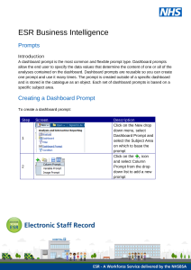 ESRBI - Prompts 2.0.pdf Thumbnail