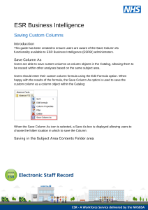 ESRBI - Saving Custom Columns.pdf Thumbnail